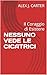 NESSUNO VEDE LE CICATRICI  by Alex J. Carter
