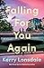 Falling for You Again: A Novel