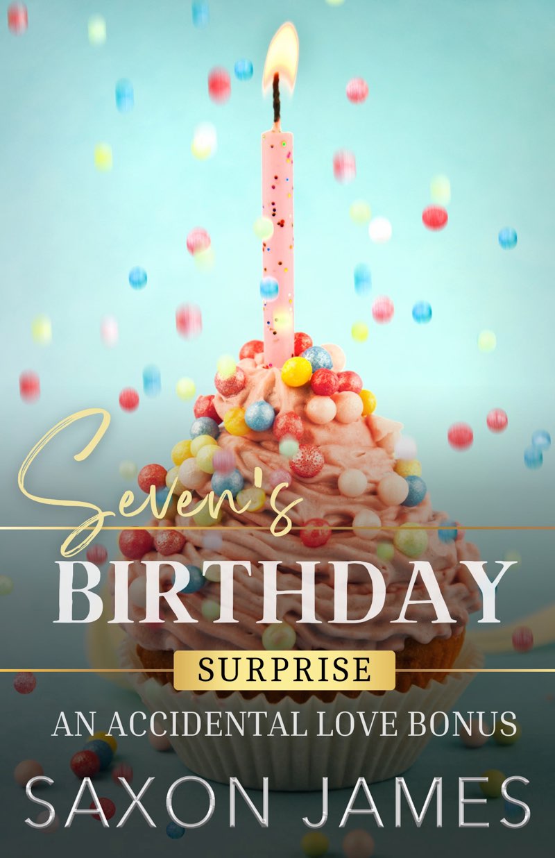 Seven's Birthday Surprise (Accidental Love #2.5)