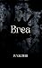 Brea: Dark romance adictivo, emocional y con alto voltaje. Amantes del romance oscuro, new adult y segundas oportunidades. (Spanish Edition)