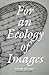 For an Ecology of Images