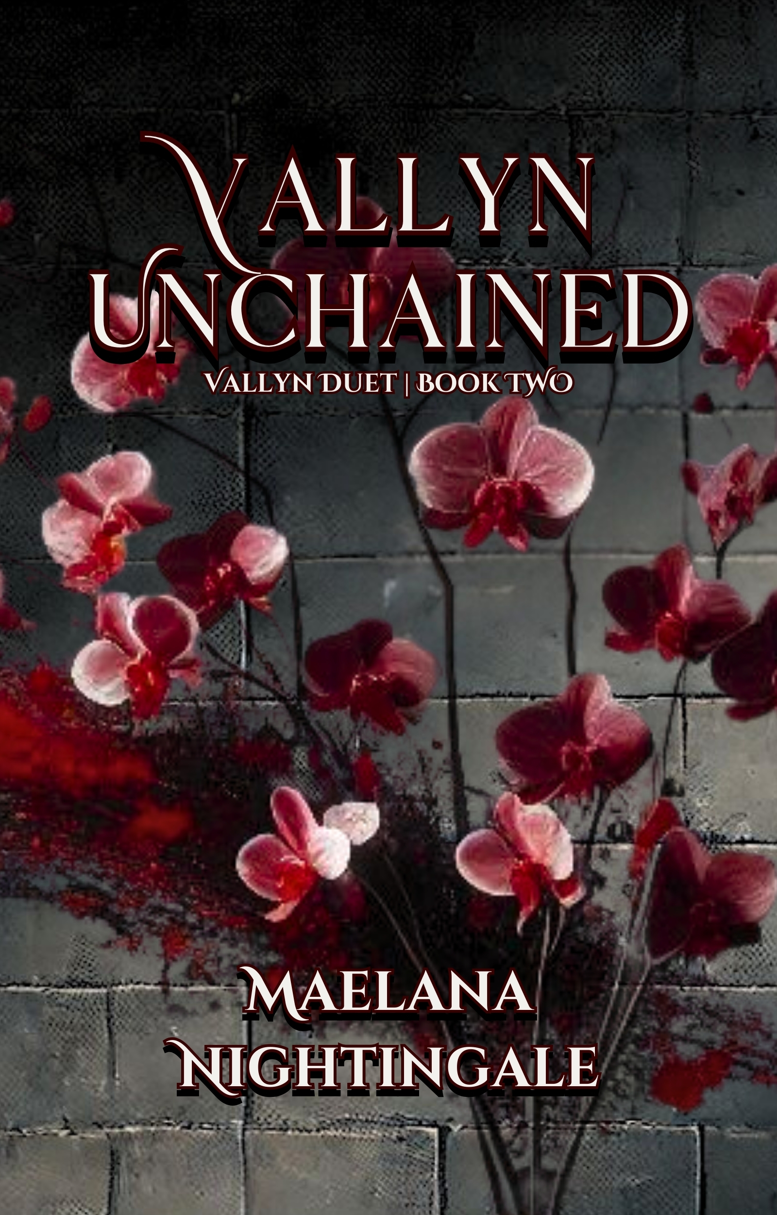 Vallyn Unchained (Vallyn Duet, #2)
