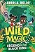 Wild Magic: Legend of the B...