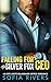 Falling For The Silver Fox CEO  by Sofia Rivers
