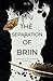 The Separation of Briin (The Chronicles of Áitarbith)