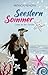 Seesternsommer – Liebe an der Ostsee (German Edition)