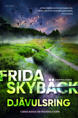 Djävulsring (Fredrika Strom, #4)