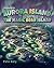 Aurora Island - The Magic B...