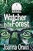 Watcher in the Forest