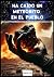 Ha caído un meteorito en el...
