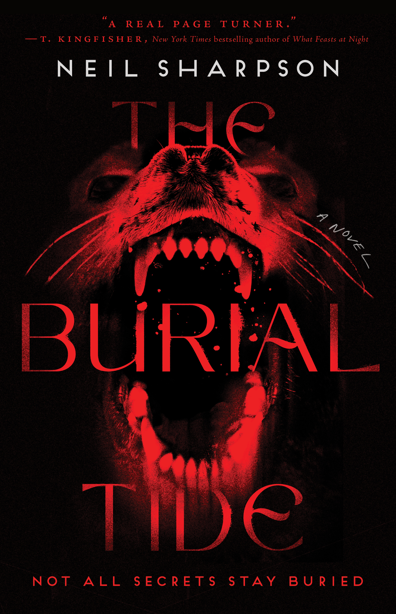 The Burial Tide (Paperback)