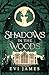 Shadows in the Woods (The North Woods Book 2)