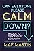 Can Everyone Please Calm Down? by Mae Martin