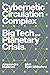 Cybernetic Circulation Complex: Big Tech and Planetary Crisis