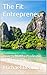 The Fit Entrepreneur: How t...