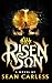 RISEN SON: A Four-In-One TN...
