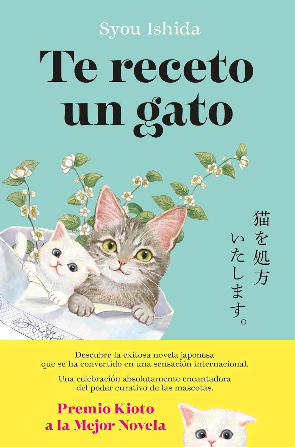 Te receto un gato (Te receto un gato, #1)
