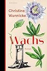 Wachs