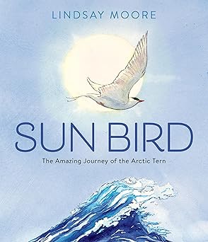 Sun Bird: The Amazing Journey of the Arctic Tern (Hardcover)