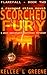 Scorched Fury - A Ravaged Skies Novel: A Post-Apocalyptic Survival Thriller (Flarefall Book 2)