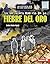 La verdadera historia de la Fiebre del Oro (The Real History ... by Anitra Butler-Ngugi
