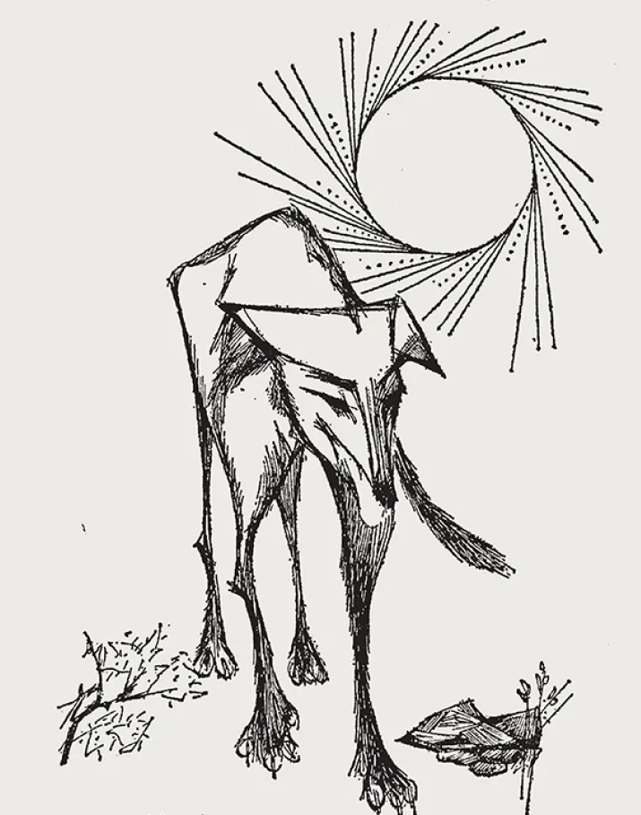 Baleia (Unknown Binding)