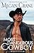 Most Dangerous Cowboy