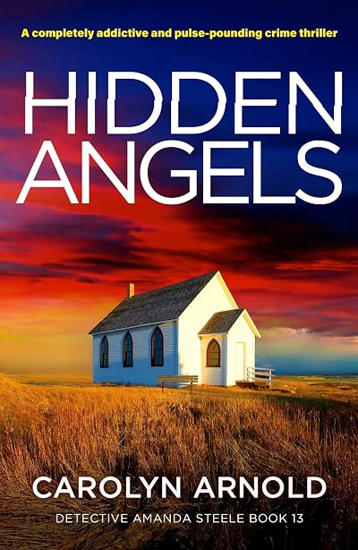 Hidden Angels (Detective Amanda Steele #13)