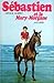 Sébastien et la Mary-Morgane