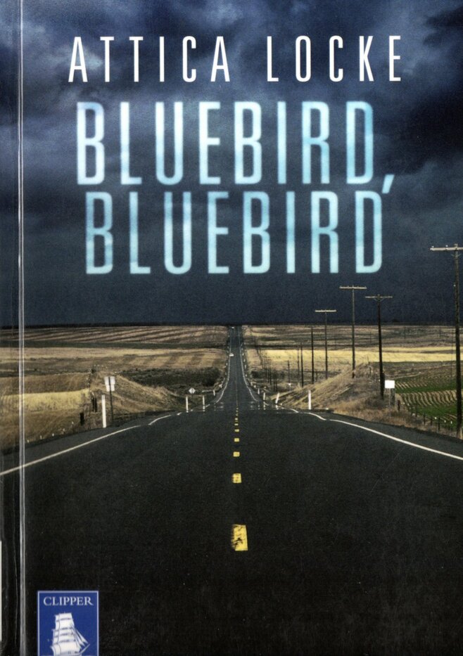 Bluebird, Bluebird
