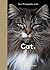 New Photography of the Cat.