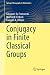 Conjugacy in Finite Classic...