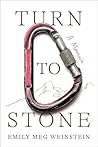 Turn to Stone by Emily Meg Weinstein