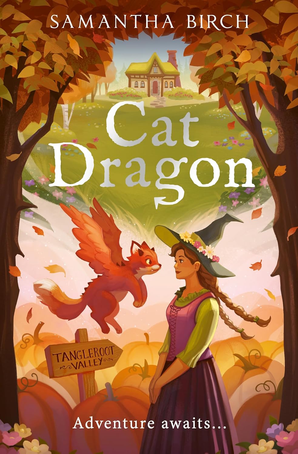 Cat Dragon (Paperback)