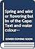 Spring and winter flowering bulbs of the Cape by Barbara Jeppe