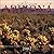 Wild & Scenic Arizona 2002 ...