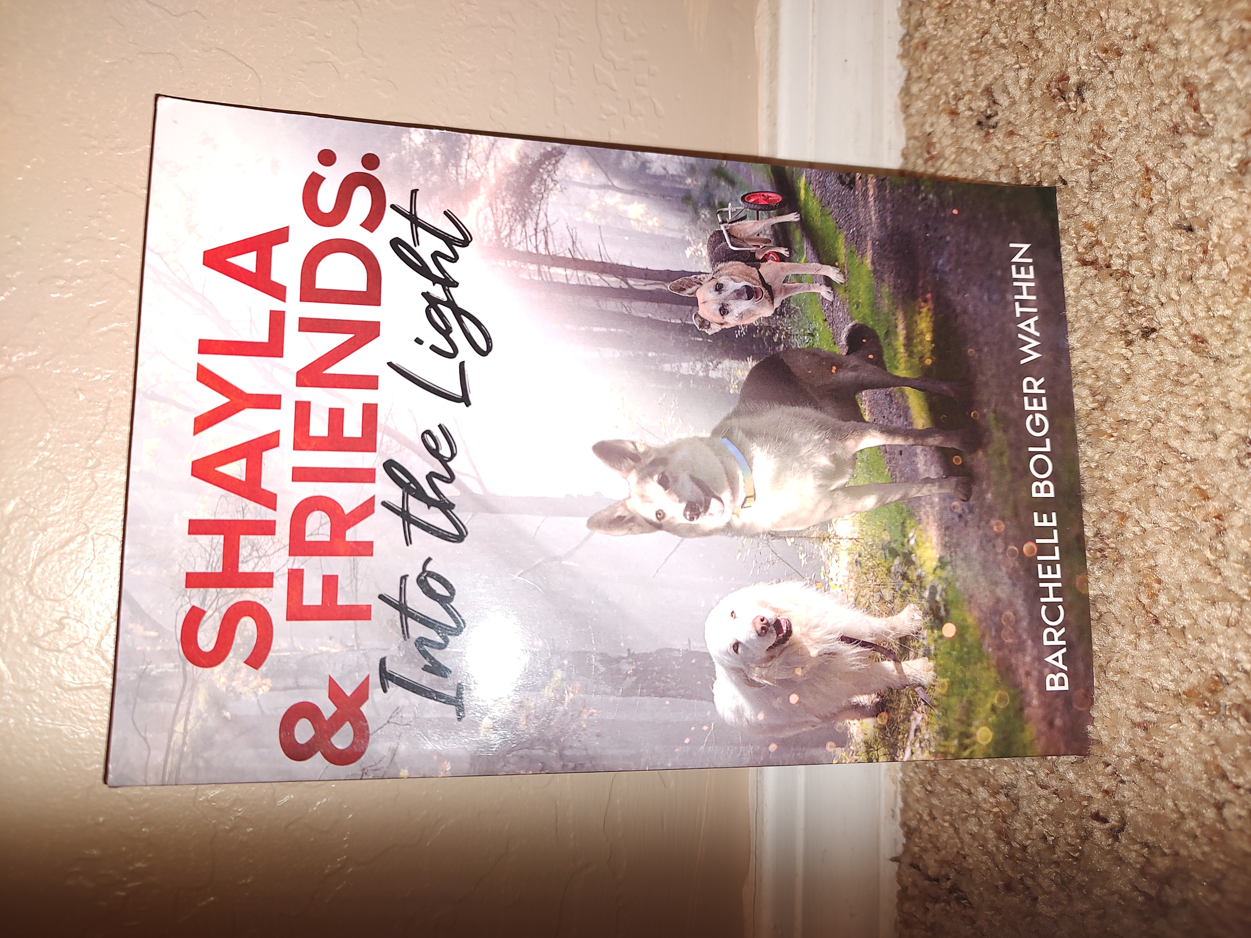 Shayla & Friends: Into the Light