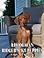Picture Of Rhodesian Ridgebacks puppies by Calvin Sanders
