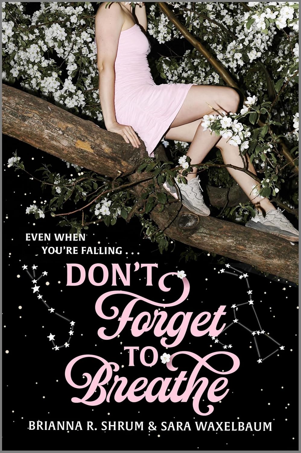 Don't Forget to Breathe (Hardcover)
