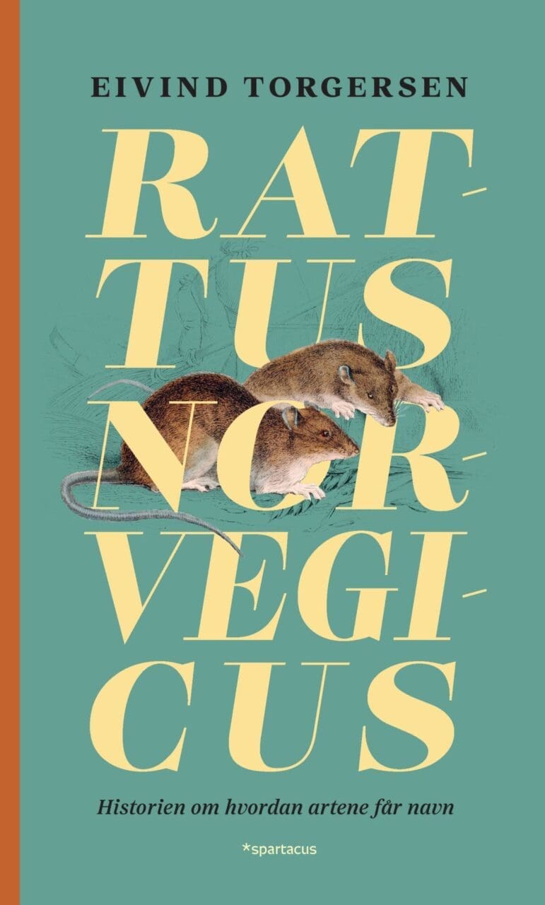Rattus norvegicus - Historien om hvordan artene får navn (Hardcover)