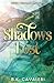 Shadows Lost (Remnant Archives, #1)