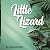Little Lizard by Deborah Mott
