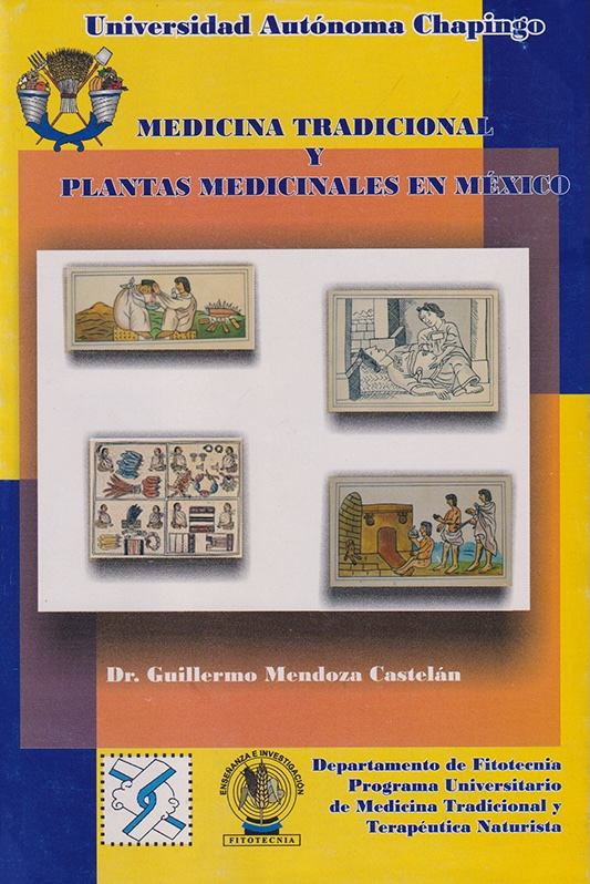 Medicina tradicional y plantas medicinales en México (Paperback)