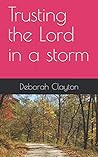 Trusting the Lord in a storm