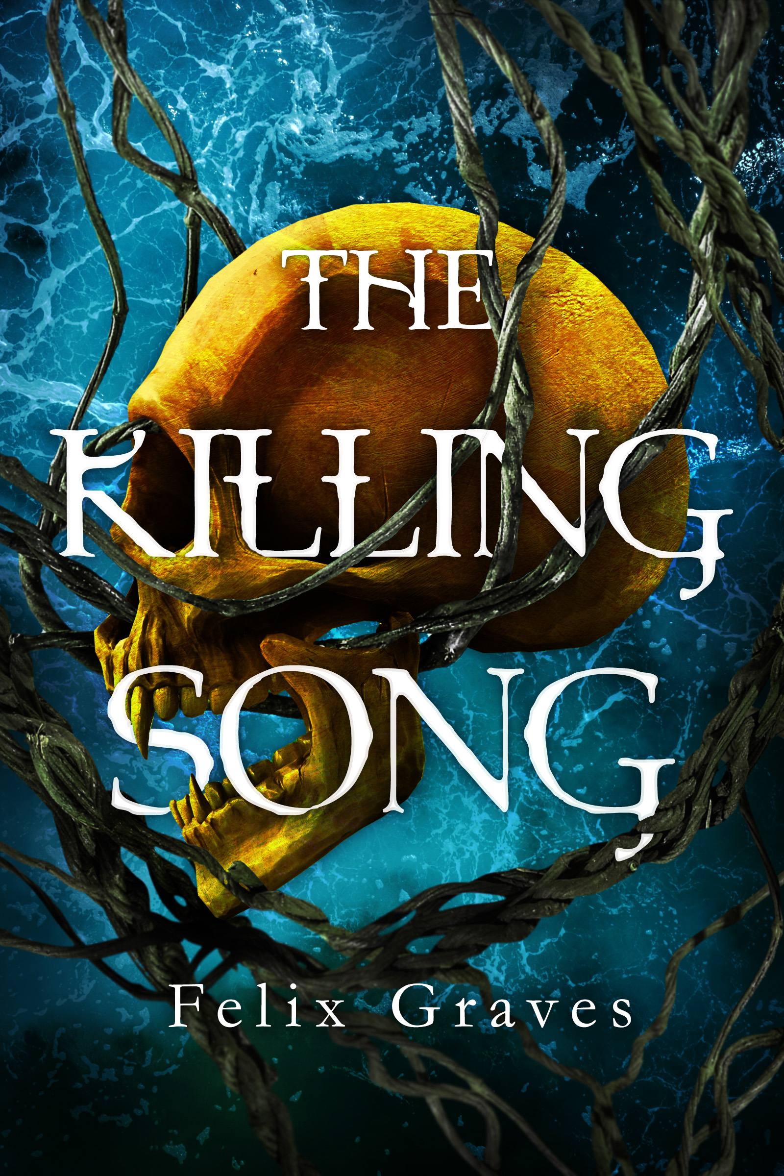 The Killing Song (The Songs of Faerth Duology, #1)
