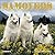 Samoyeds 2002 Calendar