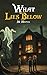 What Lies Below by Janet Olson