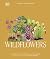 DK Wildflowers Discover the Science and Secrets Behind the Wo... by Chris Thorogood