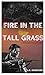 Fire in the Tall Grass: A Noah Redford Adventure