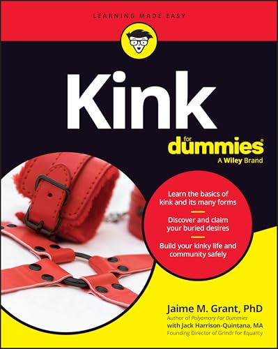 Kink For Dummies (Paperback)